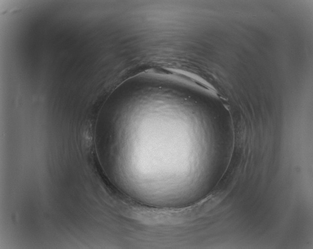 X0000074960040200609152108