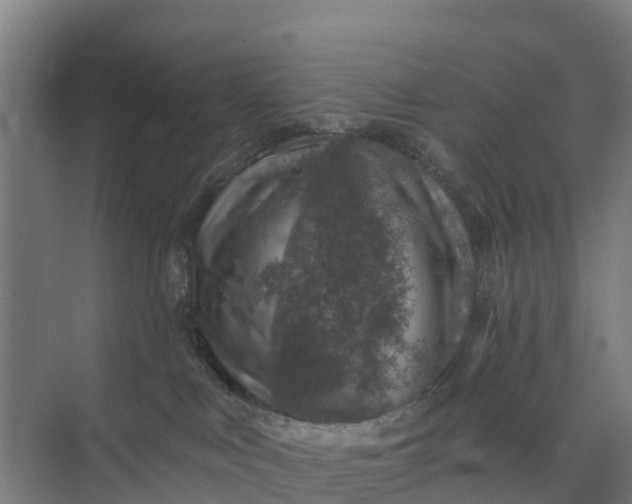 X0000074960043200609152108