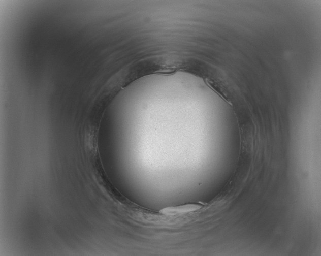 X0000074960044200609152108