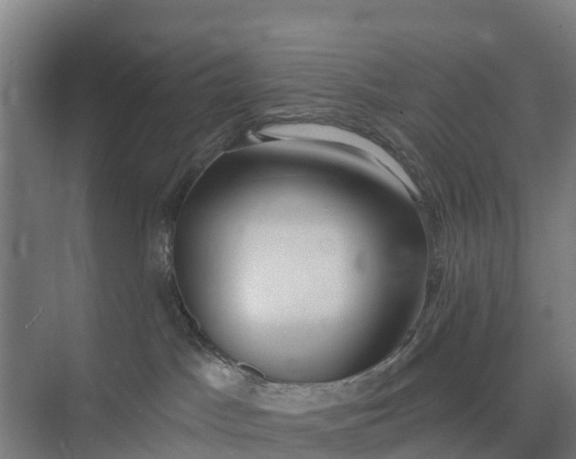 X0000074960045200609152108