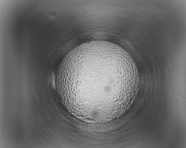 X0000074960046200609152108