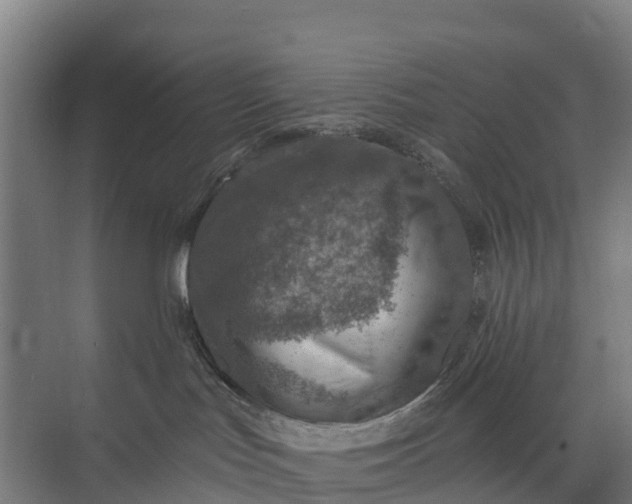 X0000074960047200609152108