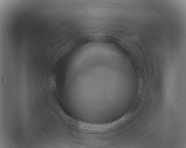 X0000074960048200609152108