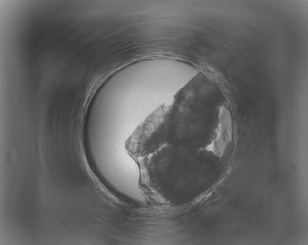 X0000074960049200609152107