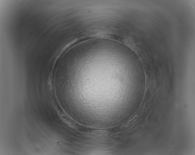 X0000074960050200609152107