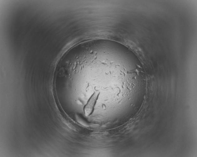 X0000074960051200609152107