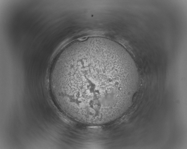 X0000074960053200609152107