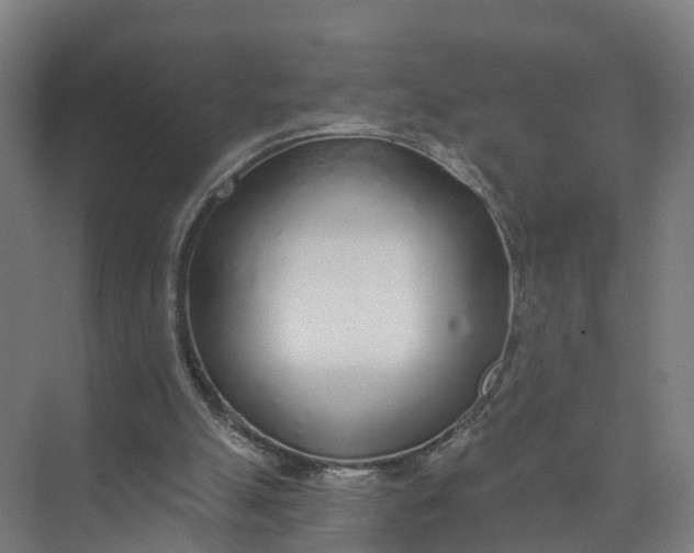 X0000074960055200609152107