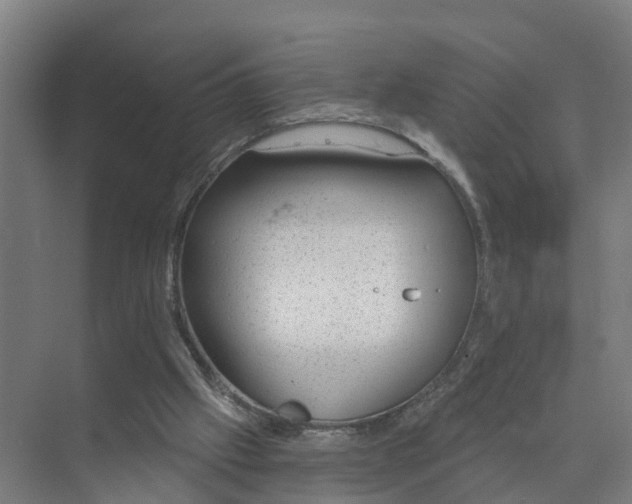 X0000074960057200609152107