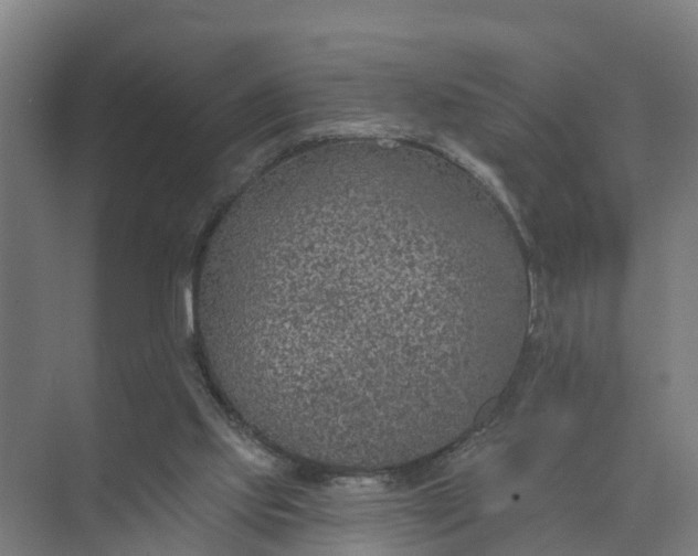 X0000074960061200609152107