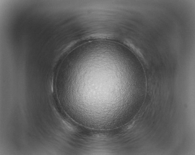 X0000074960062200609152107