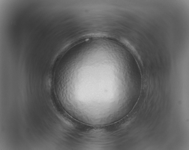 X0000074960063200609152107