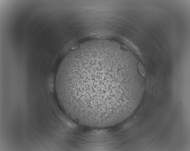 X0000074960065200609152107