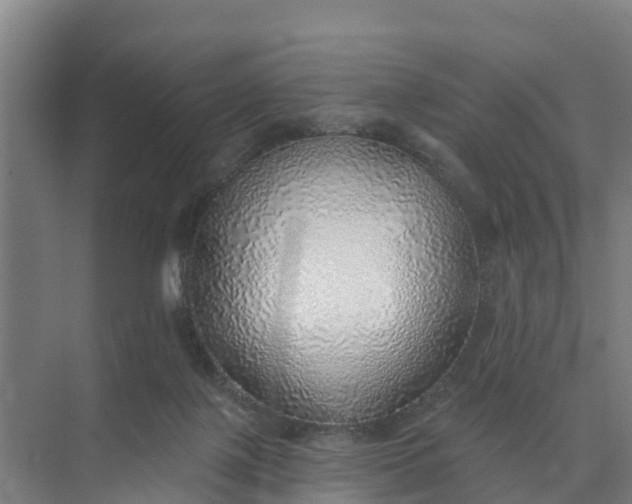 X0000074960075200609152107