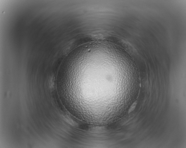 X0000074960081200609152107