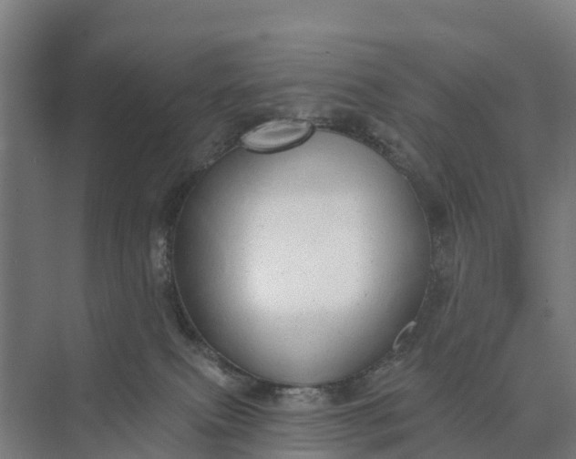 X0000074960087200609152107