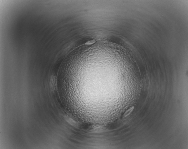 X0000074960093200609152108