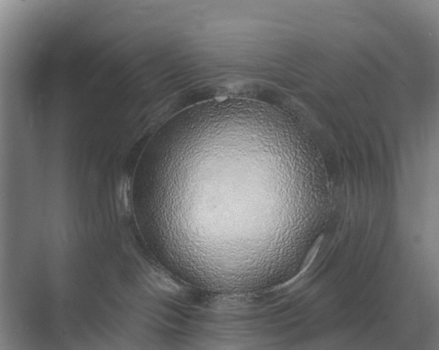 X0000074960094200609152108