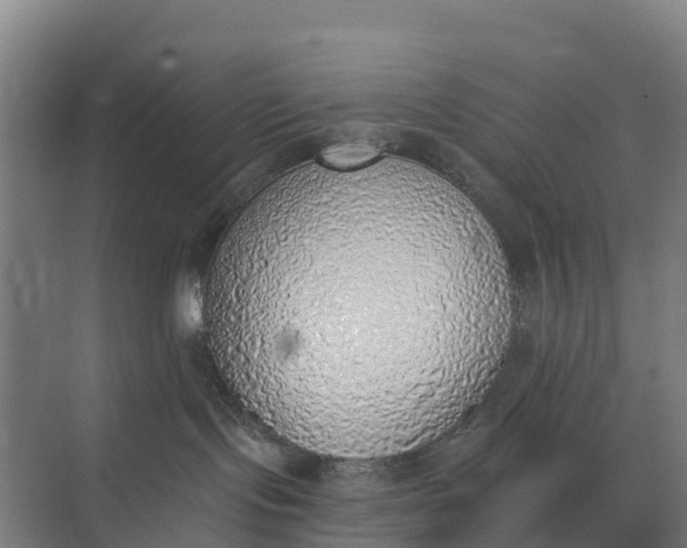 X0000074960095200609152108