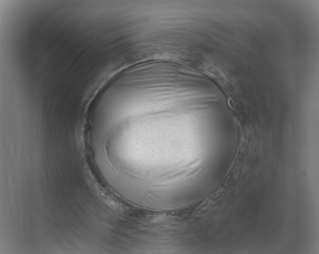 X0000074960098200609152107