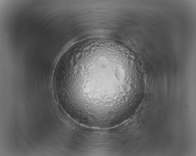 X0000074960099200609152107