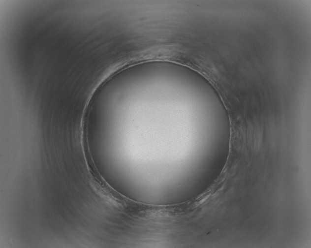 X0000074960100200609152107