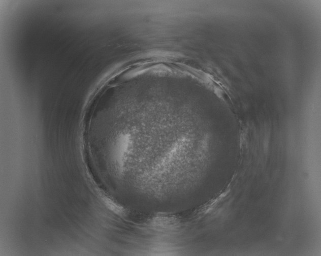 X0000074960101200609152107