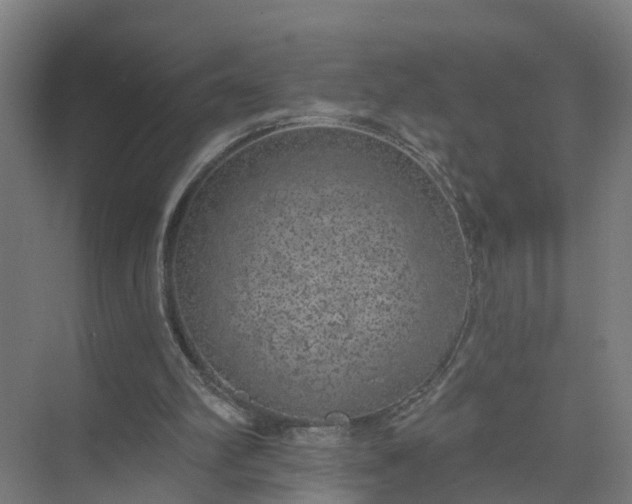 X0000074960102200609152107