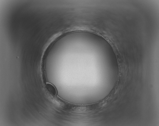 X0000074960104200609152107