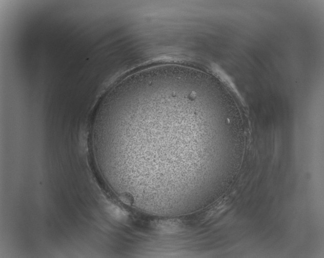 X0000074960106200609152107