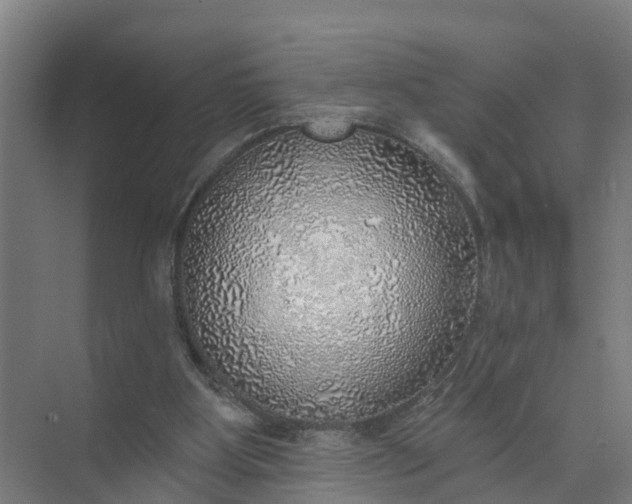 X0000074960107200609152107