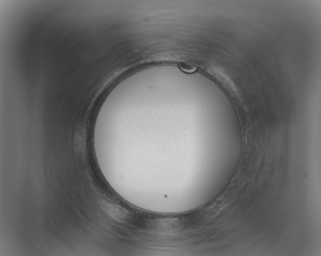 X0000074960108200609152107