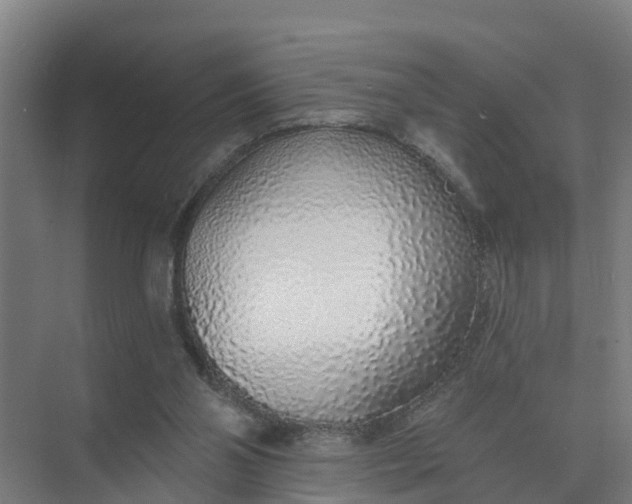 X0000074960110200609152107