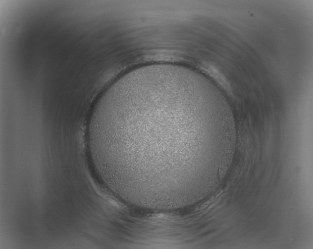 X0000074960111200609152107