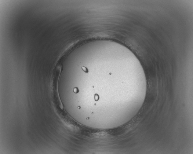 X0000074960112200609152107