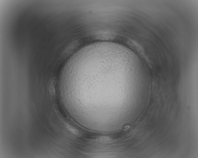 X0000074960114200609152107