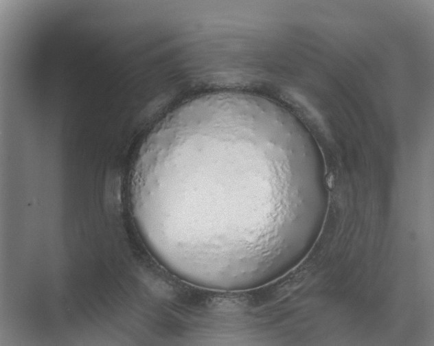 X0000074960115200609152106