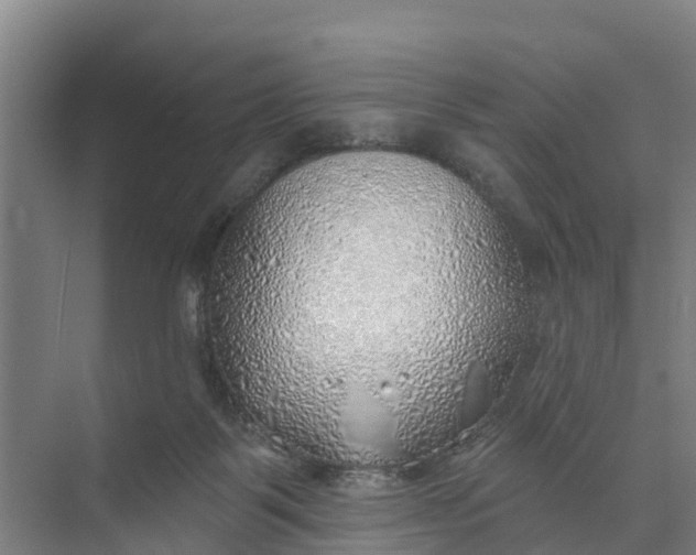 X0000074960123200609152106