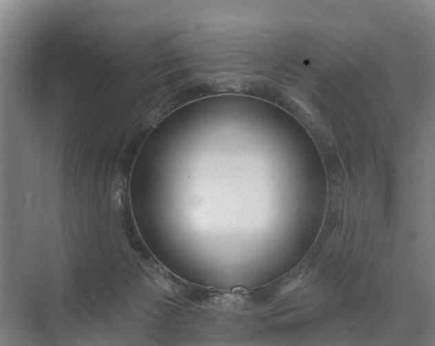 X0000074960125200609152106