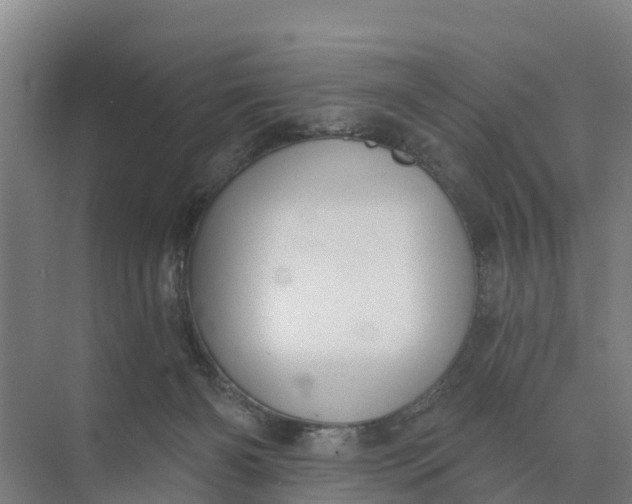 X0000074960126200609152106