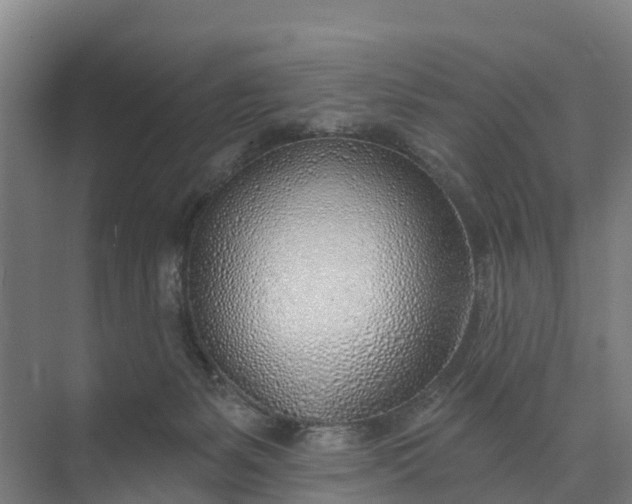 X0000074960127200609152106