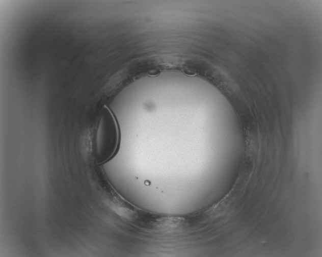 X0000074960128200609152106