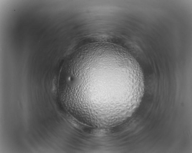 X0000074960131200609152106