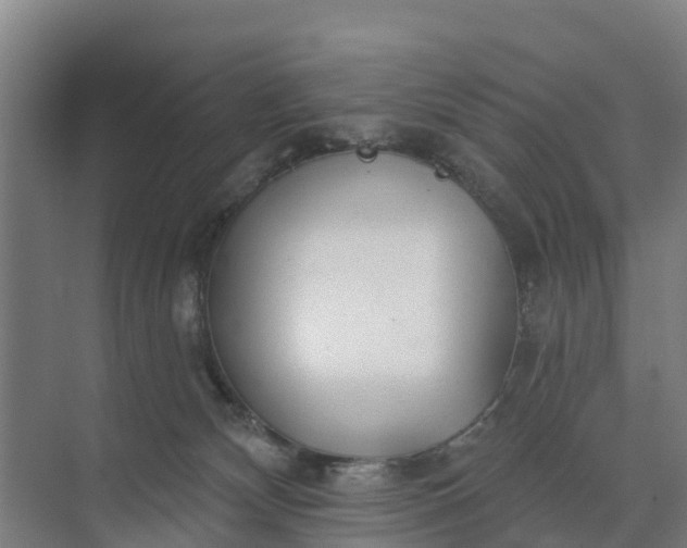 X0000074960132200609152106