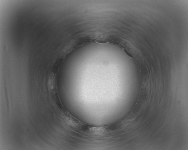 X0000074960133200609152106