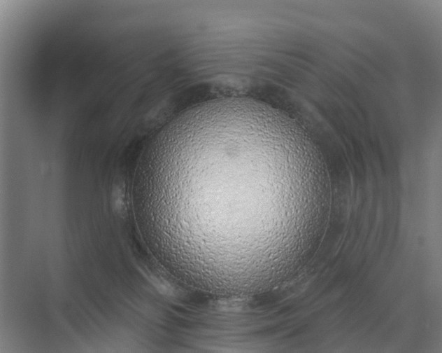 X0000074960134200609152106