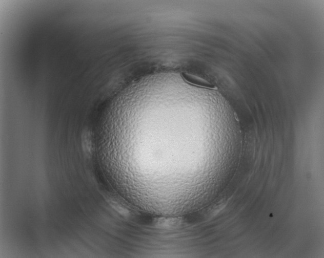 X0000074960135200609152106