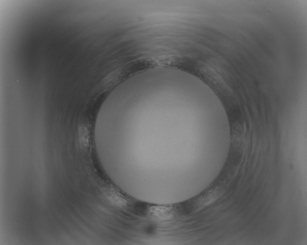 X0000074960139200609152106