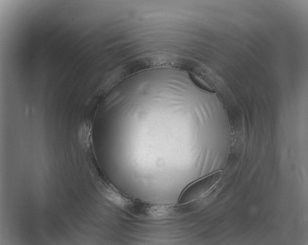 X0000074960142200609152106