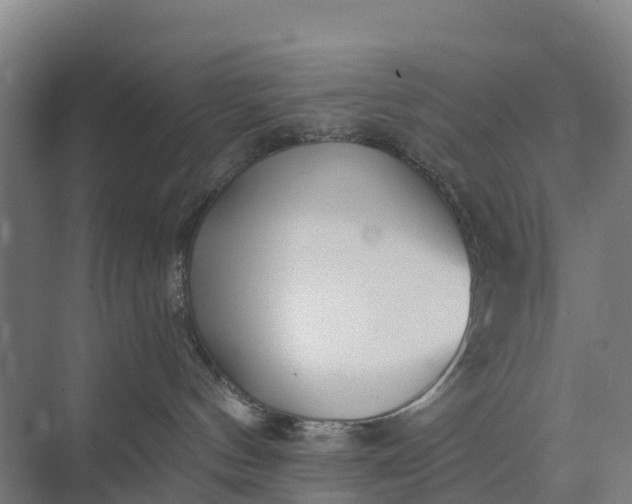 X0000074960144200609152106